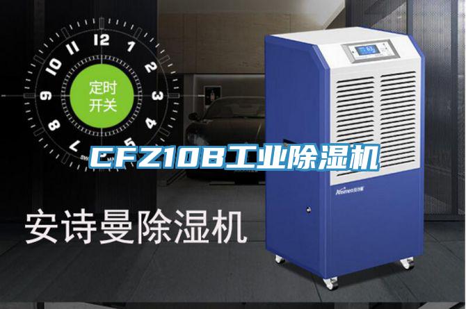 CFZ10B工業蘑菇视频网站