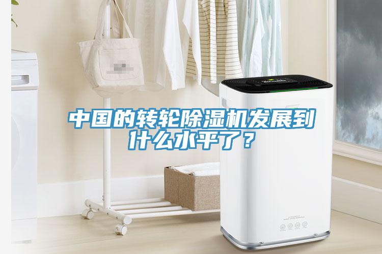 中國的轉輪蘑菇视频网站發展到什麽水平了？