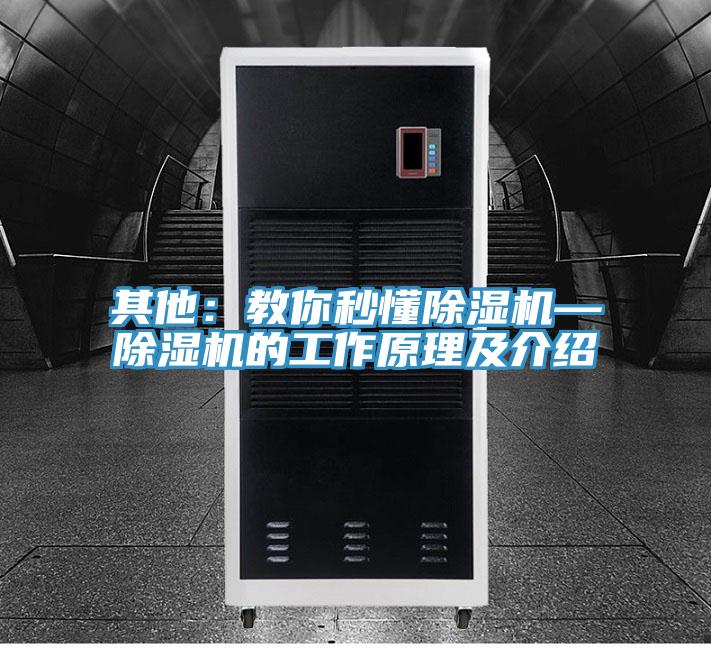 其他：教你秒懂蘑菇视频网站—蘑菇视频网站的工作原理及介紹