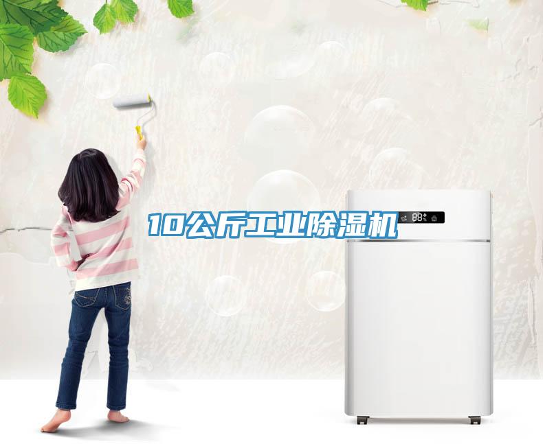 10公斤工業蘑菇视频网站