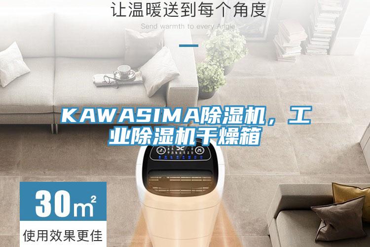 KAWASIMA蘑菇视频网站，工業蘑菇视频网站幹燥箱