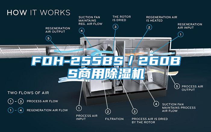 FDH-255BS／260BS商用蘑菇视频网站