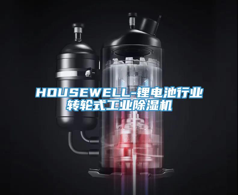 HOUSEWELL-鋰電池行業轉輪式工業蘑菇视频网站