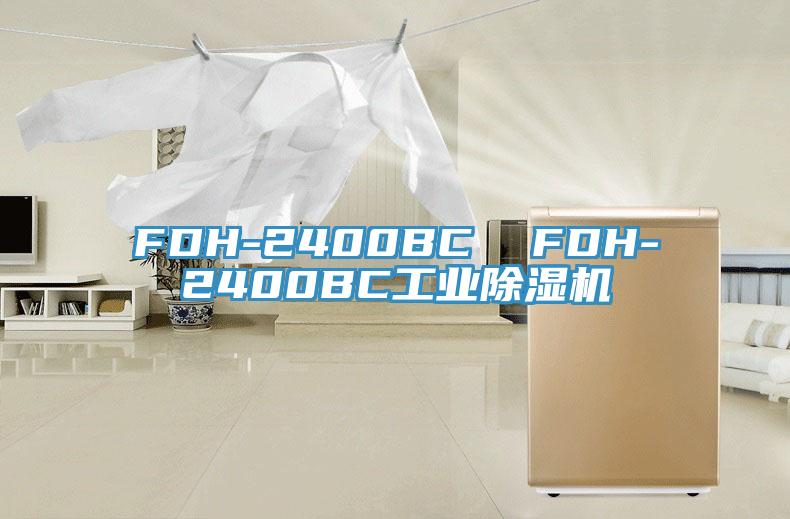 FDH-2400BC  FDH-2400BC工業蘑菇视频网站