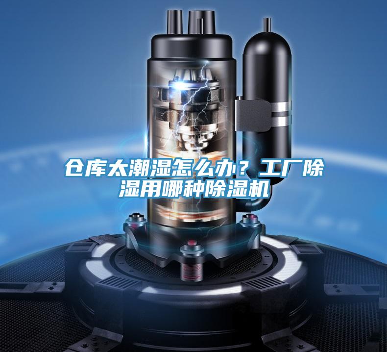 倉庫太潮濕怎麽辦？工廠除濕用哪種蘑菇视频网站