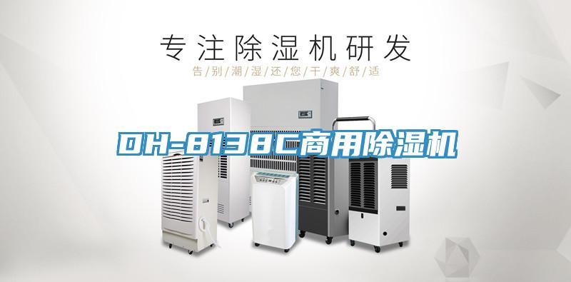 DH-8138C商用蘑菇视频网站