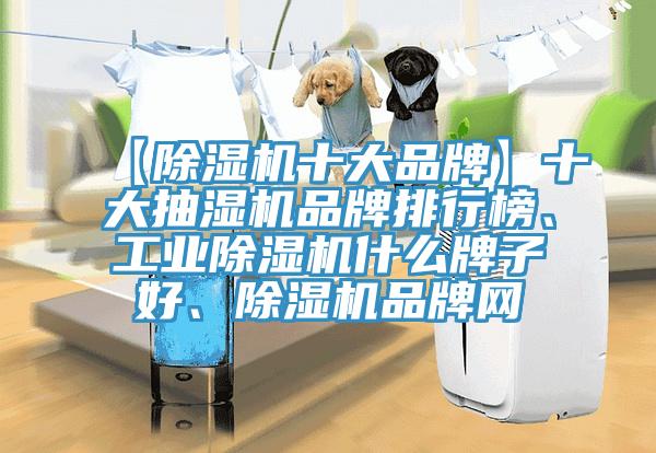【蘑菇视频网站十大品牌】十大抽濕機品牌排行榜、工業蘑菇视频网站什麽牌子好、蘑菇视频网站品牌網