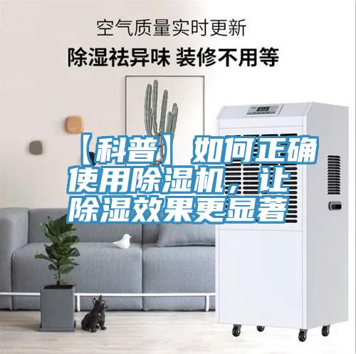 【科普】如何正確使用蘑菇视频网站，讓除濕效果更顯著