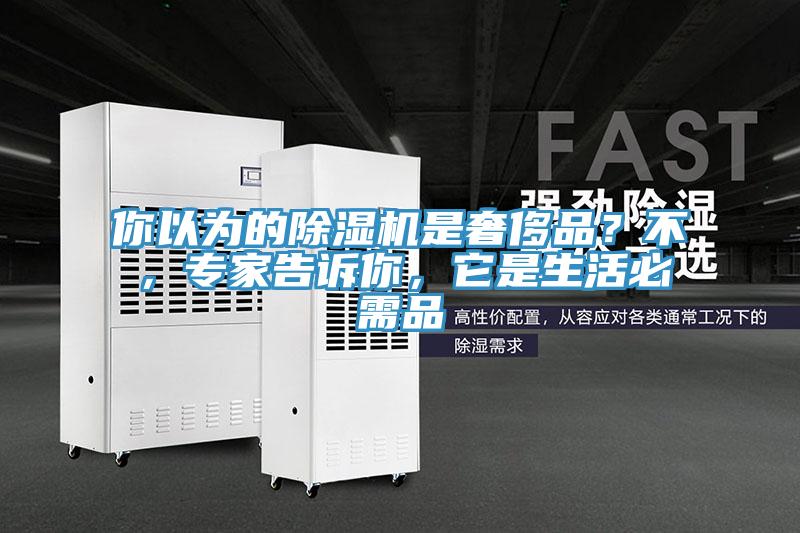 你以為的蘑菇视频网站是奢侈品？不，專家告訴你，它是生活必需品