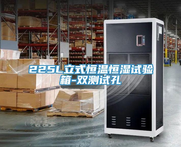225L立式恒溫恒濕試驗箱-雙測試孔