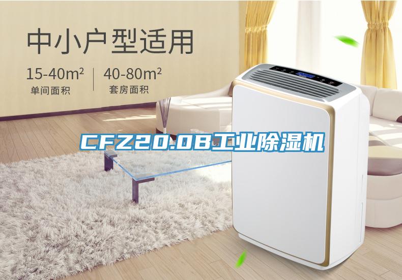 CFZ20.0B工業蘑菇视频网站