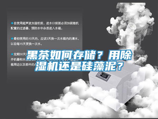 黑茶如何存儲？用蘑菇视频网站還是矽藻泥？