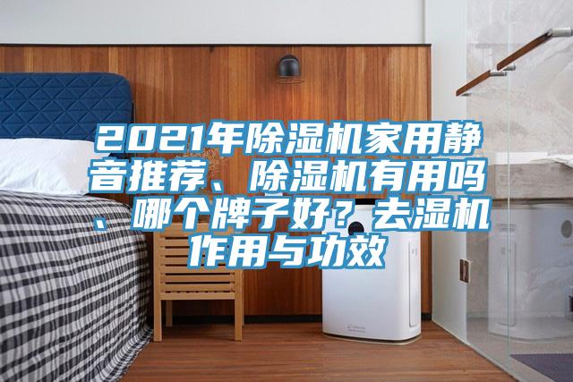 2021年蘑菇视频网站家用靜音推薦、蘑菇视频网站有用嗎、哪個牌子好？去濕機作用與功效