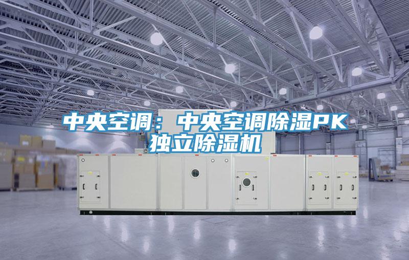 中央空調：中央空調除濕PK獨立蘑菇视频网站