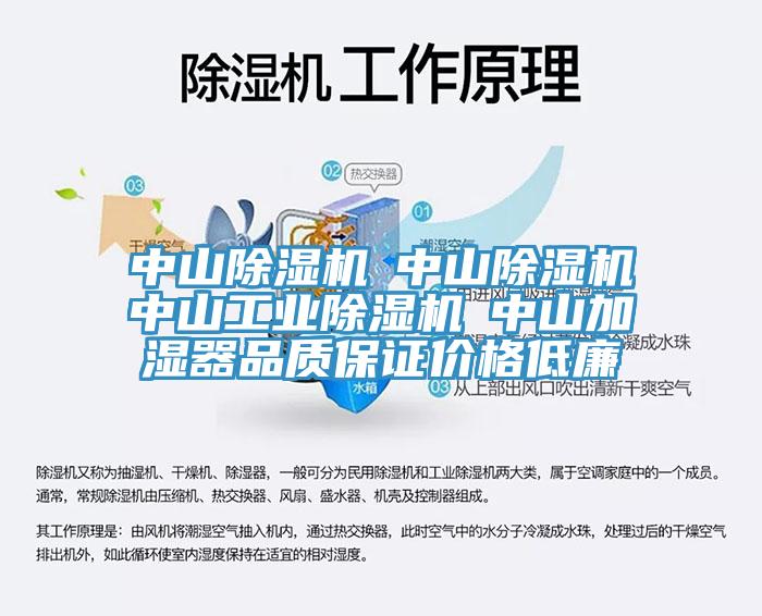 中山蘑菇视频网站☆中山蘑菇视频网站☆中山工業蘑菇视频网站☆中山加濕器品質保證價格低廉