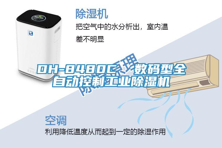 DH-8480C  數碼型全自動控製工業蘑菇视频网站