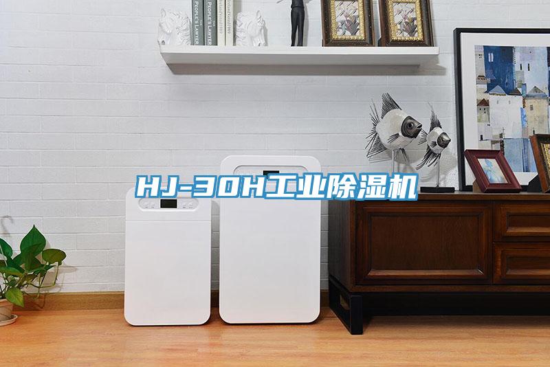 HJ-30H工業蘑菇视频网站