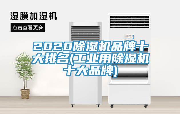 2020蘑菇视频网站品牌十大排名(工業用蘑菇视频网站十大品牌)