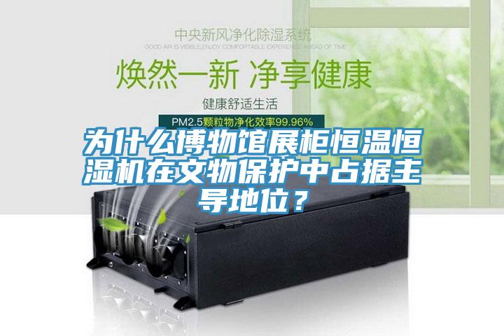 為什麽博物館展櫃恒溫恒濕機在文物保護中占據主導地位？