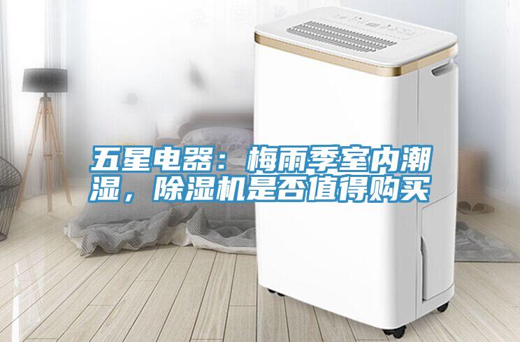 五星電器：梅雨季室內潮濕，蘑菇视频网站是否值得購買