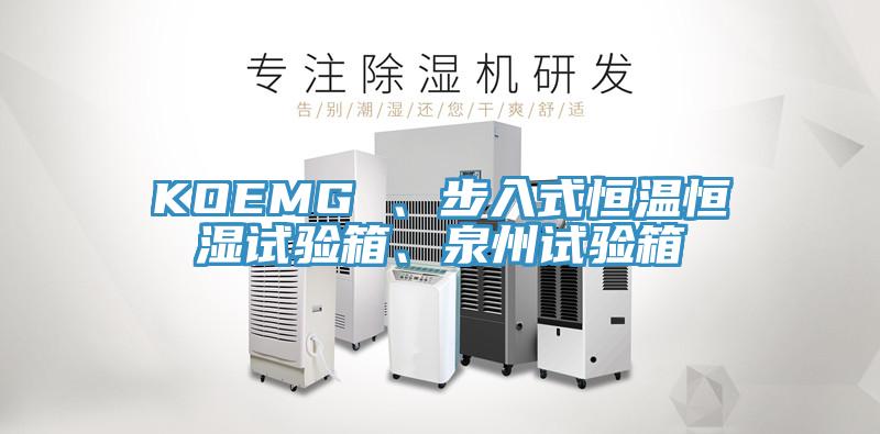 KOEMG 、步入式恒溫恒濕試驗箱、泉州試驗箱