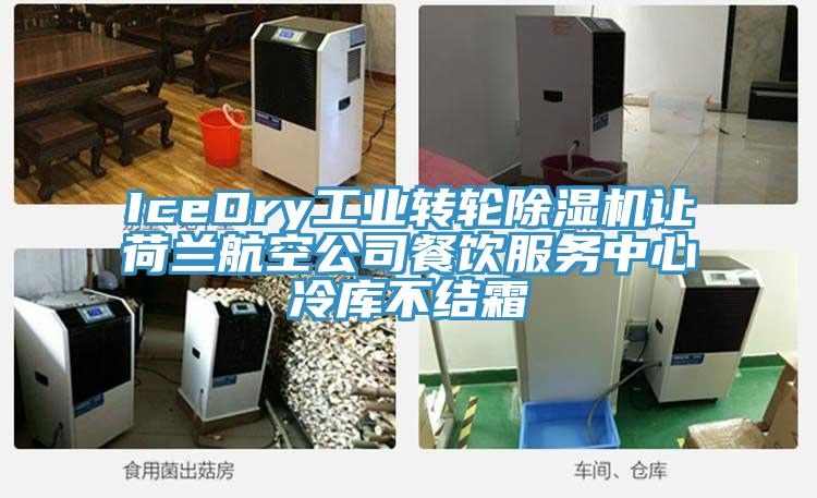 IceDry工業轉輪蘑菇视频网站讓荷蘭航空公司餐飲服務中心冷庫不結霜