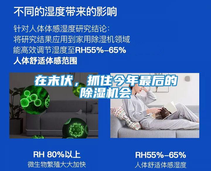 在末伏，抓住今年最後的蘑菇视频网站會