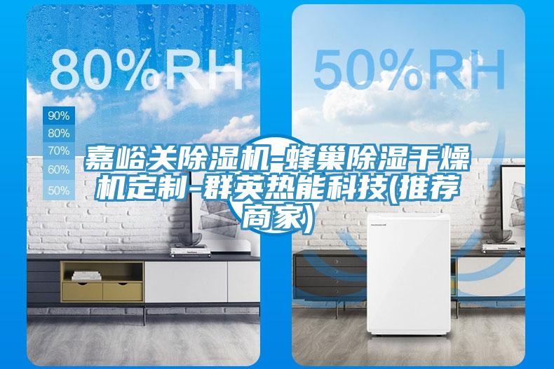 嘉峪關蘑菇视频网站-蜂巢除濕幹燥機定製-群英熱能科技(推薦商家)