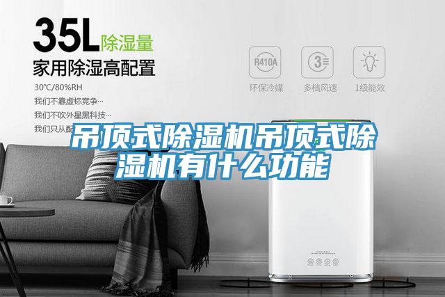 吊頂式蘑菇视频网站吊頂式蘑菇视频网站有什麽功能