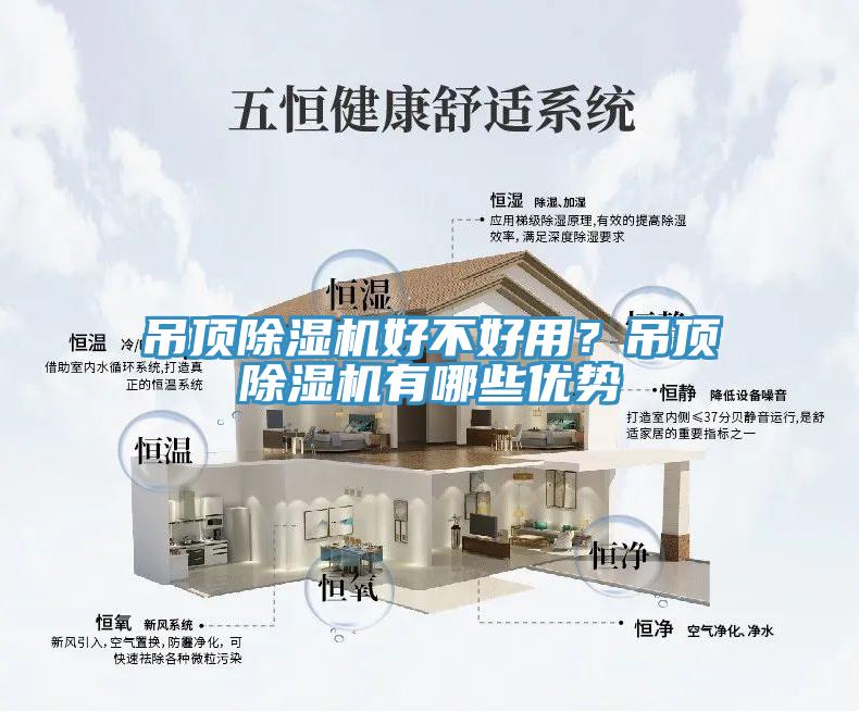 吊頂蘑菇视频网站好不好用？吊頂蘑菇视频网站有哪些優勢