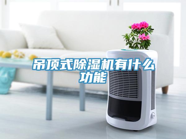 吊頂式蘑菇视频网站有什麽功能