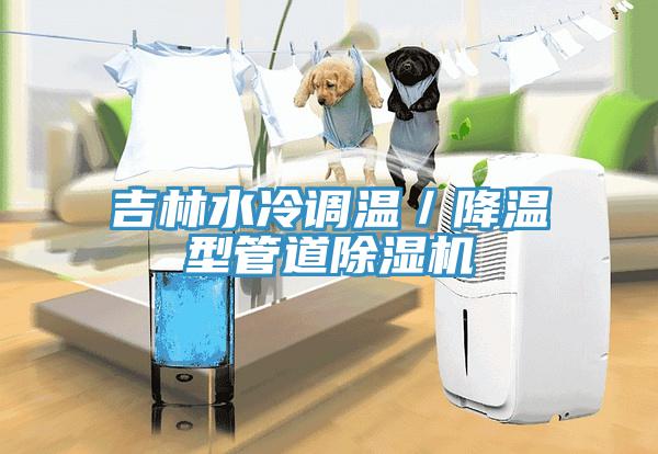 吉林水冷調溫／降溫型管道蘑菇视频网站