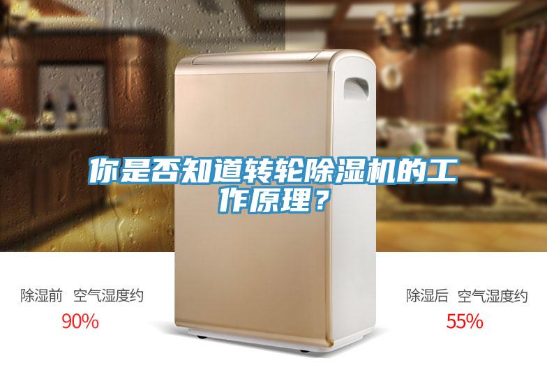 你是否知道轉輪蘑菇视频网站的工作原理？