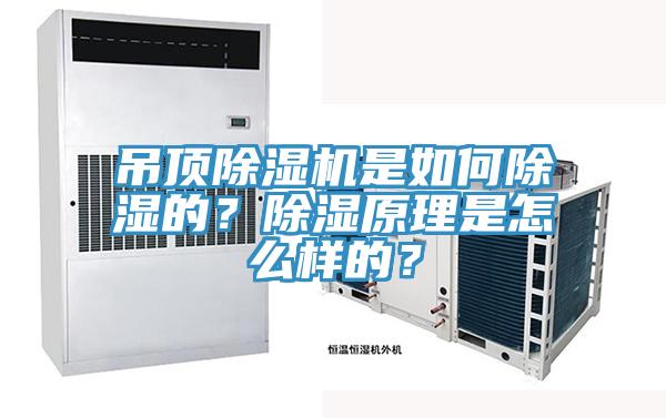 吊頂蘑菇视频网站是如何除濕的？除濕原理是怎麽樣的？