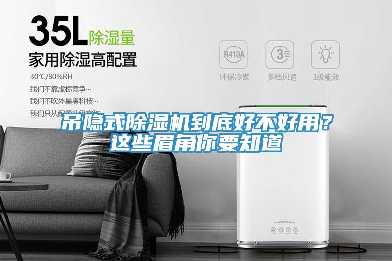 吊隱式蘑菇视频网站到底好不好用？這些眉角你要知道
