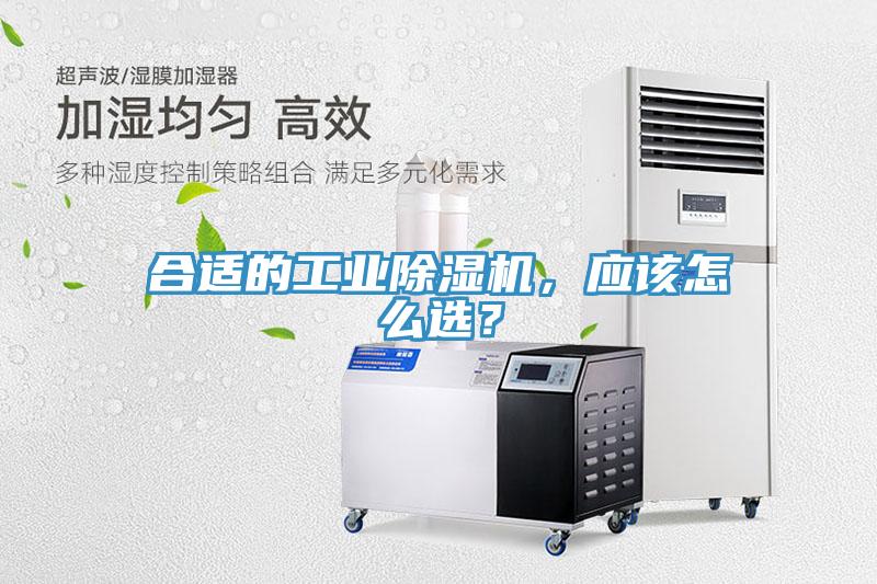 合適的工業蘑菇视频网站，應該怎麽選？