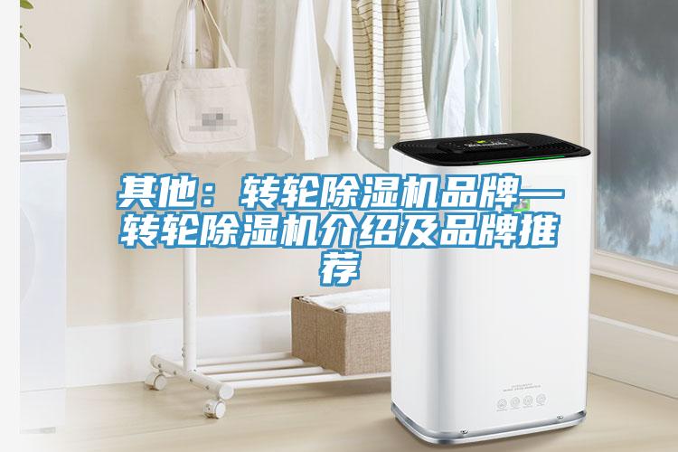 其他：轉輪蘑菇视频网站品牌—轉輪蘑菇视频网站介紹及品牌推薦