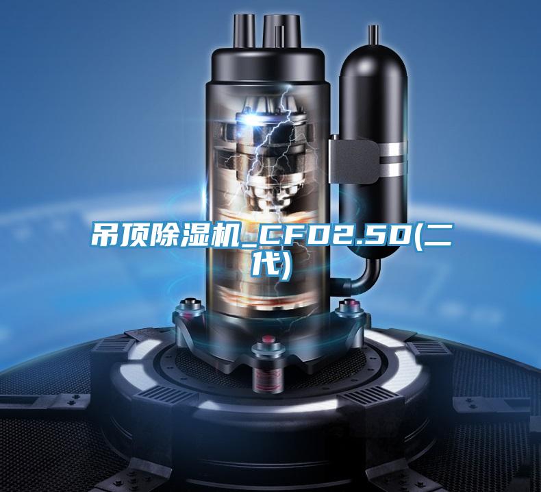 吊頂蘑菇视频网站_CFD2.5D(二代)