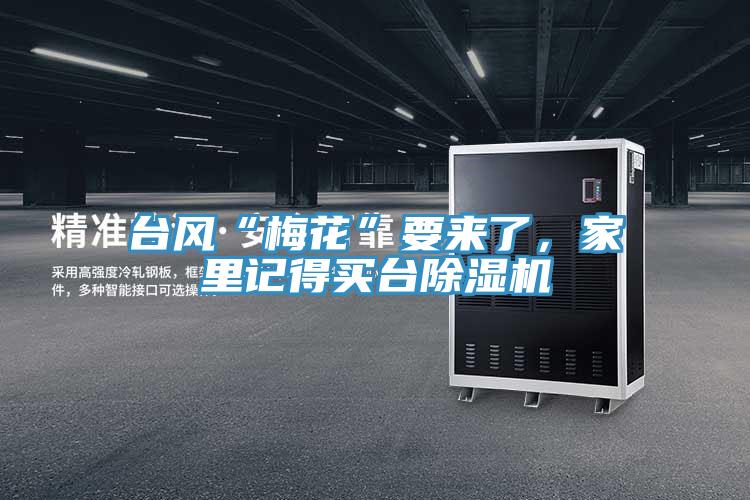 台風“梅花”要來了，家裏記得買台蘑菇视频网站