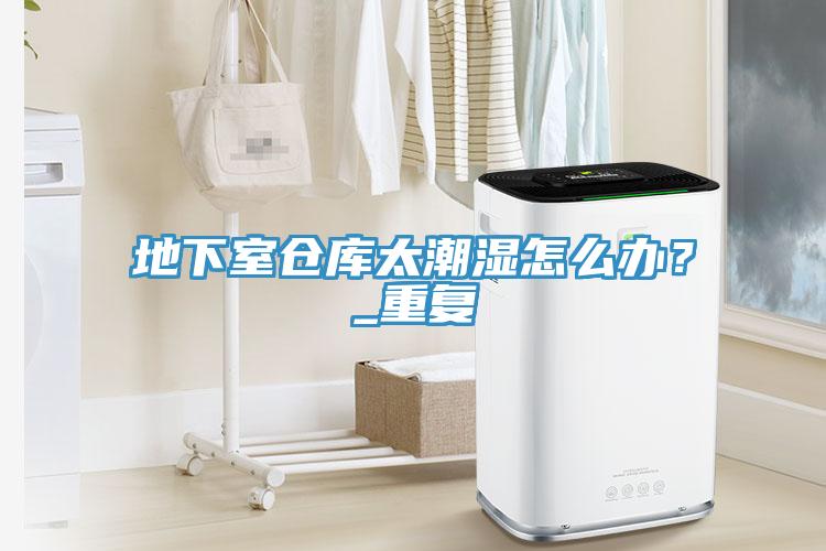 地下室倉庫太潮濕怎麽辦？_重複