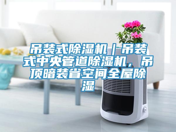 吊裝式蘑菇视频网站｜吊裝式中央管道蘑菇视频网站，吊頂暗裝省空間全屋除濕