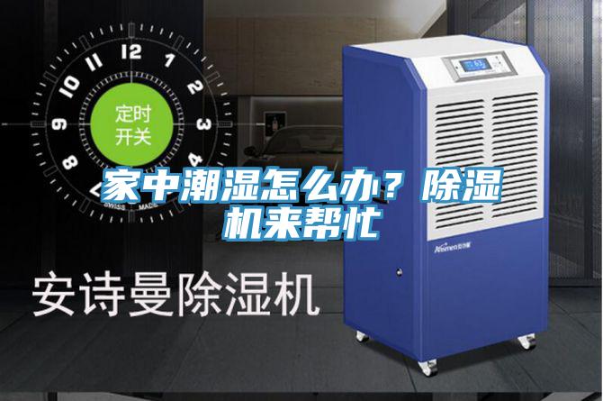 家中潮濕怎麽辦？蘑菇视频网站來幫忙