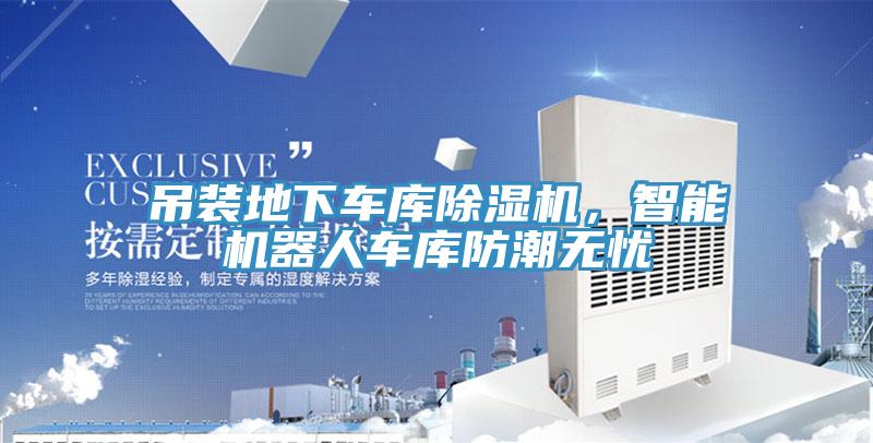吊裝地下車庫蘑菇视频网站，智能機器人車庫防潮無憂