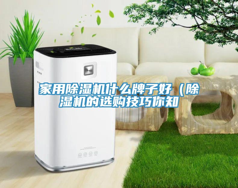 家用蘑菇视频网站什麽牌子好（蘑菇视频网站的選購技巧你知