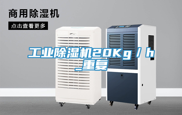 工業蘑菇视频网站20Kg／h_重複