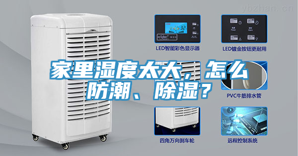 家裏濕度太大，怎麽防潮、除濕？