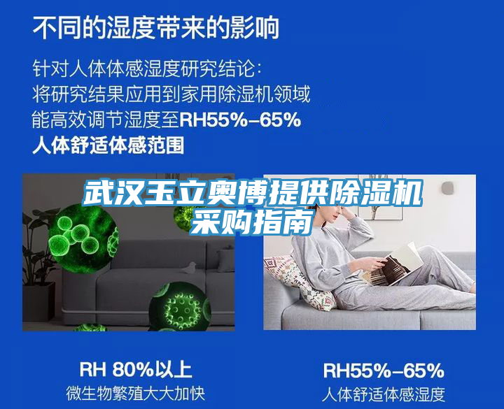 武漢玉立奧博提供蘑菇视频网站采購指南