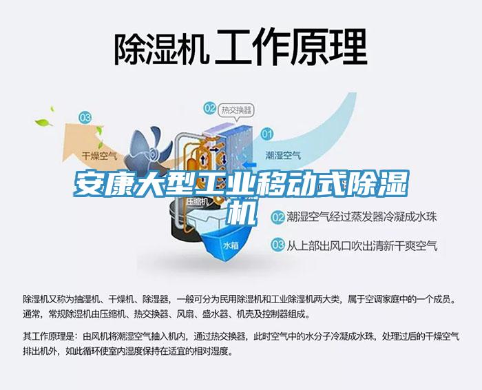 安康大型工業移動式蘑菇视频网站