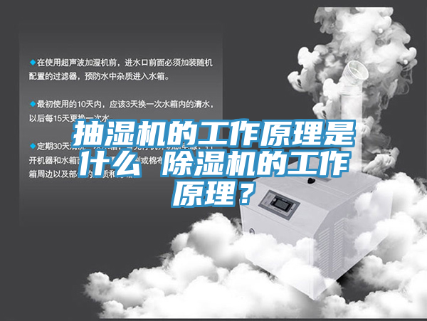 抽濕機的工作原理是什麽 蘑菇视频网站的工作原理？