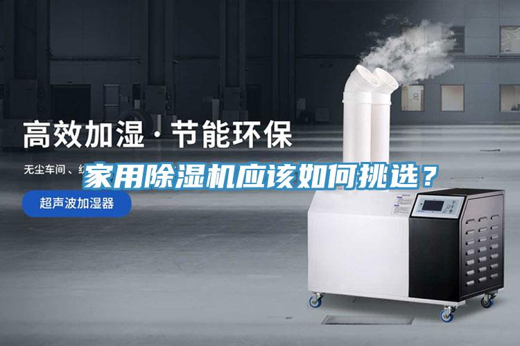 家用蘑菇视频网站應該如何挑選？